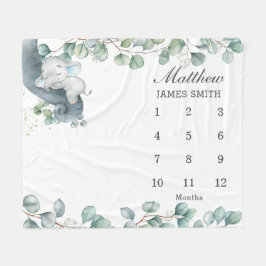 Cobertor De Velo Chic Greenering Elefante Dormindo Mensal