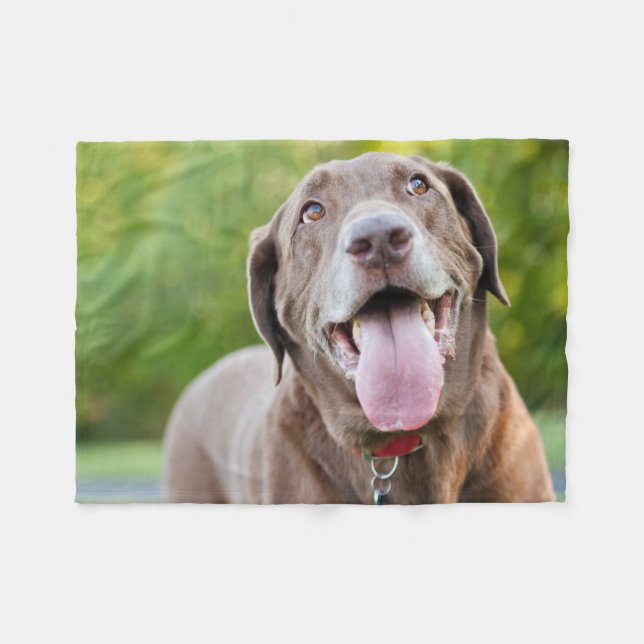 Cobertor De Velo Chocolate Labrador Dog (Frente (Horizontal))