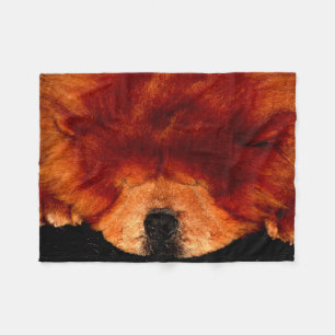 Cobertor De Velo Chow Chow Fbcna Dormindo