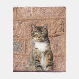 Cobertor De Velo Church Cat