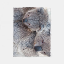 Cinza Bonita Fluffy Koalas