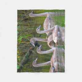 Cobertor De Velo Cisne Único