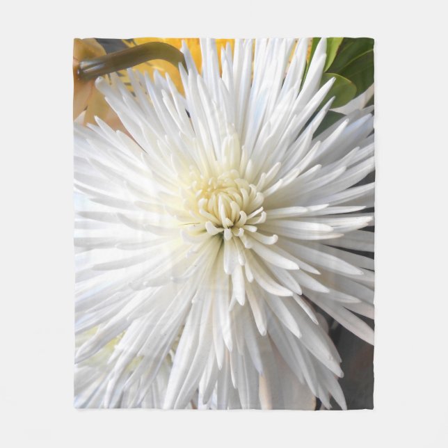 Cobertor De Velo Claricia (Frente)