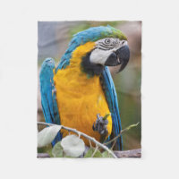 Cobertura azul e amarela de Sherpa do Macaw