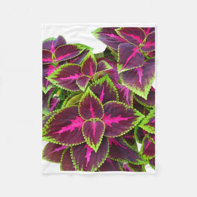 Cobertor De Velo Cobertura de Folhas de Coleus Roxo ADOM (Frente)