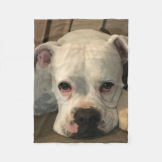 Cobertor De Velo Cobertura do cão