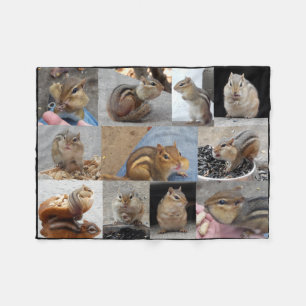 Cobertor De Velo Cobertura do Chipmunk do velo com 11 Chipmunks.