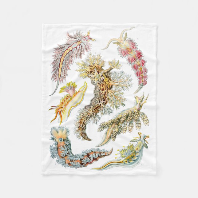 Cobertor De Velo Cobertura do velo do Nudibranchia de Haeckel (Frente)