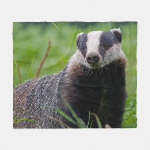 Cobertor De Velo Cobertura do velo do texugo