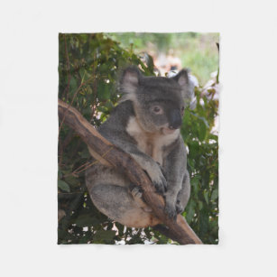 Cobertor De Velo Cobertura doce do velo do urso de Koala