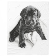 Cobertura preta de Labrador