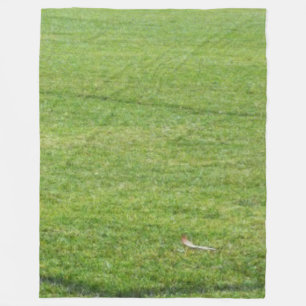 Cobertor De Velo Cobertura verde