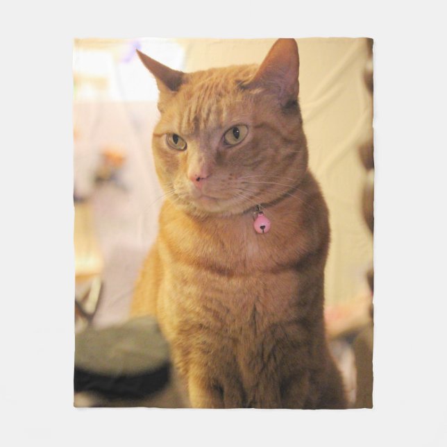 Cobertor De Velo Cobrir Cat Duvet (Frente)