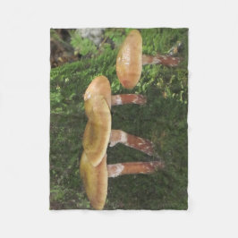 Cobertor De Velo Cogumelos