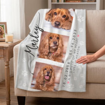 Colagem de Fotos Personalizadas de Memorial de Pet