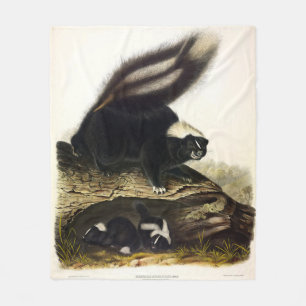 Cobertor De Velo Common American Skunk ou Striped Skunk, de Audubon