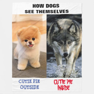 COBERTOR DE VELO COMO CÃES SE VEEM