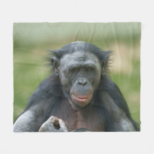 Cobertor De Velo Contemplação de Bonobo