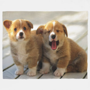 COBERTOR DE VELO COPIE A PASTA