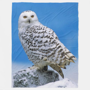 COBERTOR DE VELO CORUJA DA NEVE