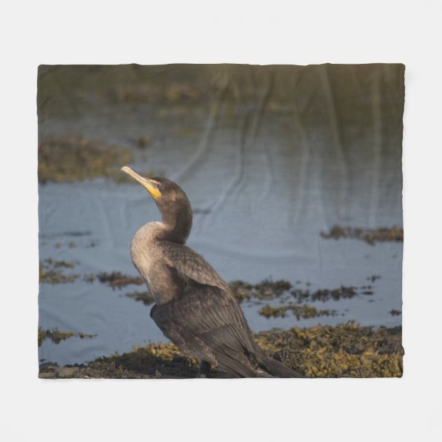 Cobertor De Velo Corvo-marinho (Frente (Horizontal))