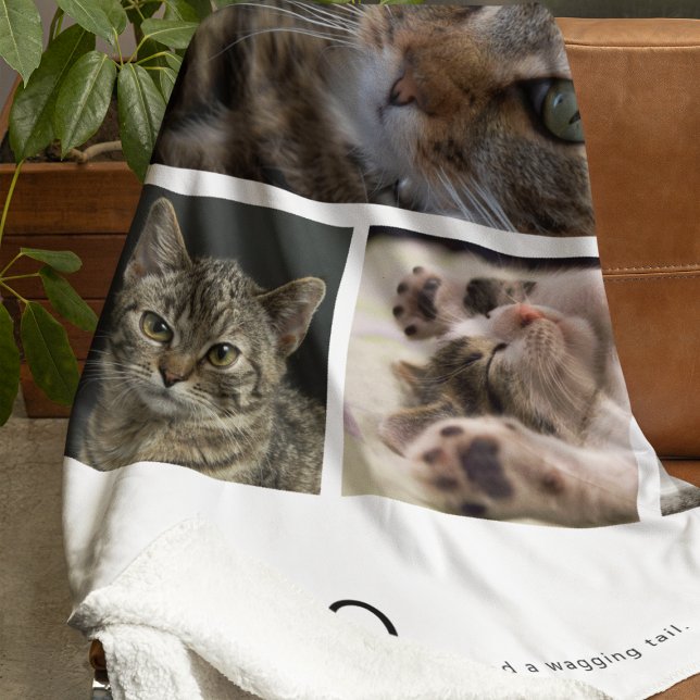 Cobertor De Velo Crie Sua Própria Foto de Gato (Criador carregado)