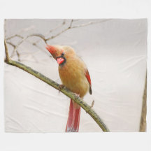 Curiosa fêmea Cardeal Fleece Blanket