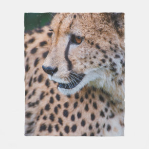 COBERTOR DE VELO CURIOUS CHEETAH