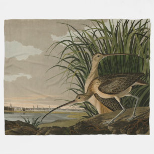 Cobertor De Velo Curlew de bico longo das Aves da América de Audubo