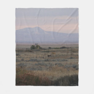 Cobertor De Velo D10 Veado-branco e Sweet Grass Hills