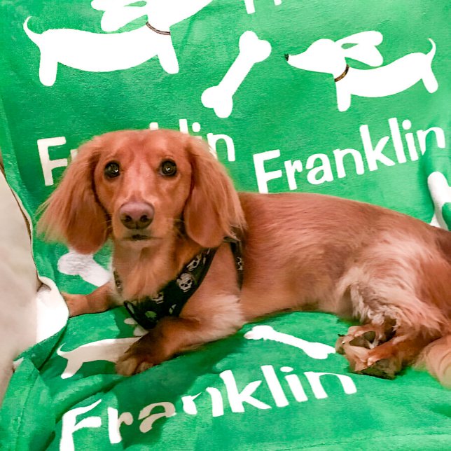 Cobertor De Velo Dachshund Blanket - Presente Personalizado de Cane (Green customized wiener dog blanket)