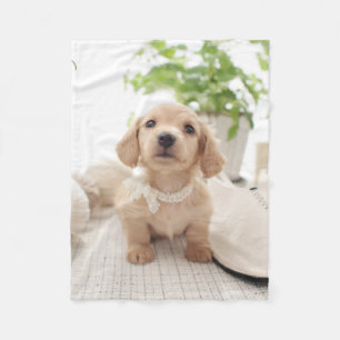 Cobertor De Velo Dachshund diminuto