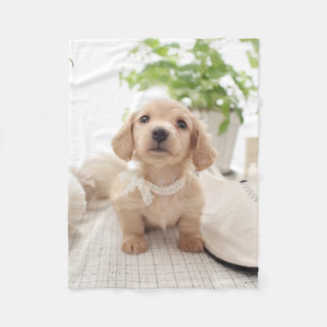 Cobertor De Velo Dachshund diminuto (Frente)