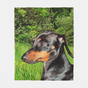 Cobertor De Velo Dachshund Doxie do cão