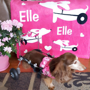 Cobertor De Velo Dachshund IVDD Whisener Wiener Cachorro Rosa Blank