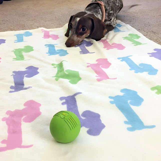 Cobertor De Velo Dachshund Pink Púrpura Pastas Verdes Azuis Púrpura (Pastel wiener dogs - pink purple and light blue - snuggly blanket for your doxie or you.)