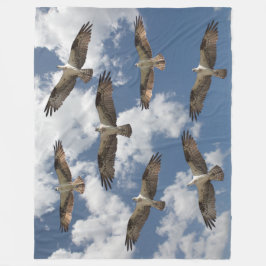 Cobertor De Velo Desfile de Osprey no céu