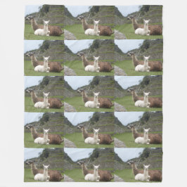 Cobertor De Velo Destino Personalizado Do Animal Llama