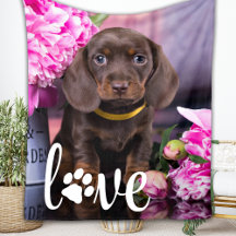 Dia de os namorados LOVE Pet Photo Dog Personaliza