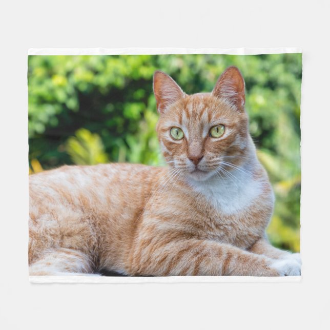 Cobertor De Velo Doce gatinho (Frente (Horizontal))