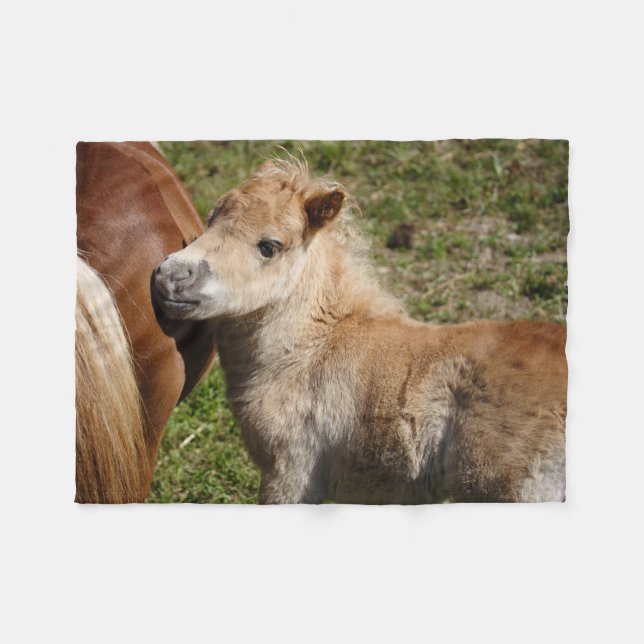 Cobertor De Velo Doce Haflinger Foal (Frente (Horizontal))