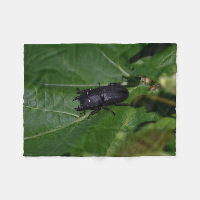 Cobertor De Velo Dorcus parallelipipedus , o escaravelho inferior (Frente (Horizontal))