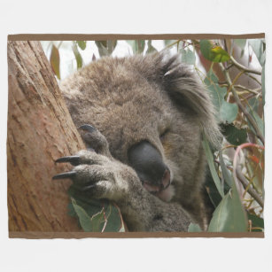 Cobertor De Velo Dormindo Koala Bear Grande Folheto