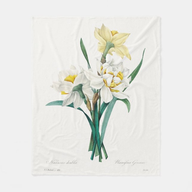 Cobertor De Velo Double Daffodil,  Pierre-Joseph Redouté, 1827 (Frente)