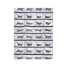 EADWEARD MUYBRIDGE: Gato que anda - cobertura