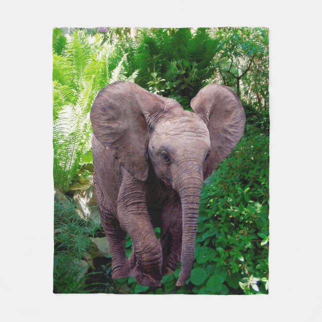 Cobertor De Velo Elefante e selva (Frente)