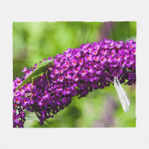 Cobertor De Velo energia katydid