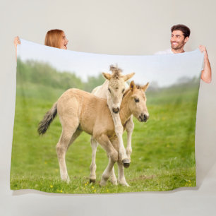 Cobertor De Velo Engraçado Cavalo Selvagem Konik Foals Brincando -