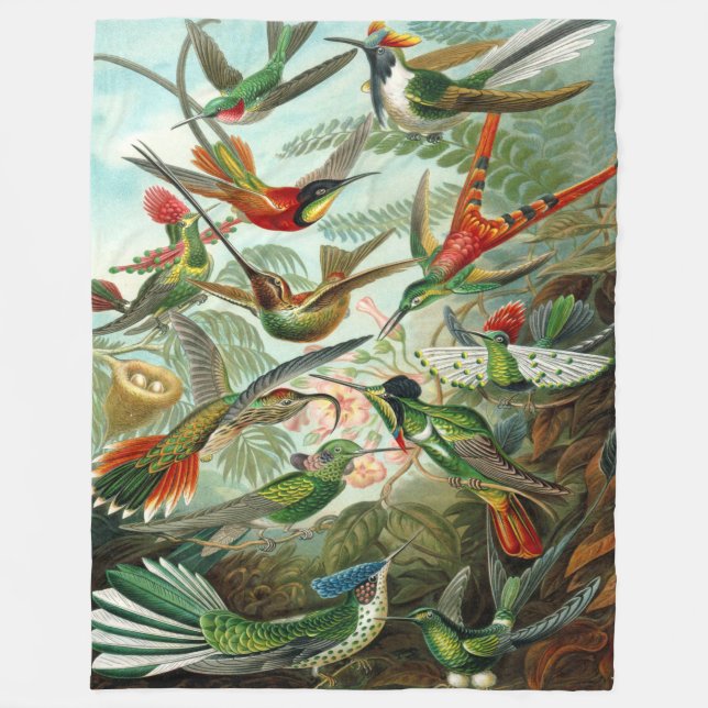 Cobertor De Velo Ernst Haeckel Hummingbird (Frente)
