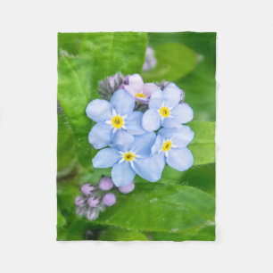 Cobertor De Velo Esqueça-me-não